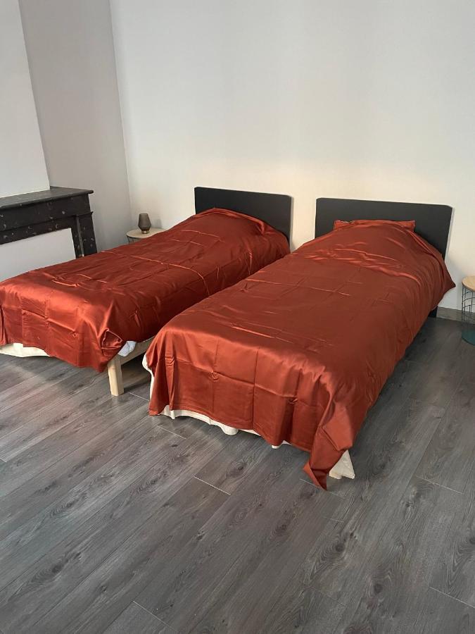 "Le Machao" - Cosy T3 - Centre Ville Mâcon Exteriör bild
